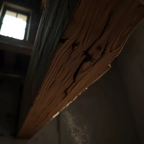 Ile lat wytrzyma strop drewniany